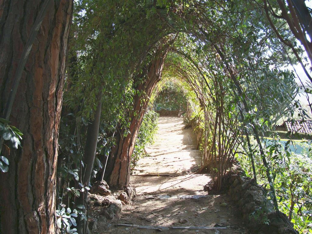 Foto de Barcelona (Cataluña), España