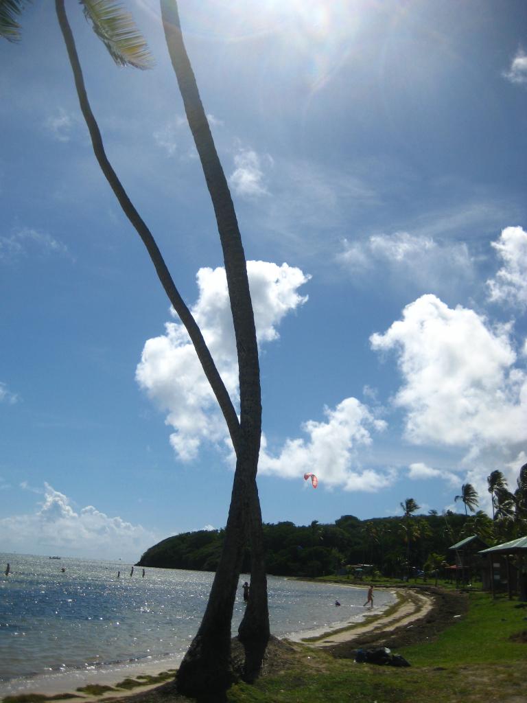 Foto de Pointe Faula (Vauclin), Martinica