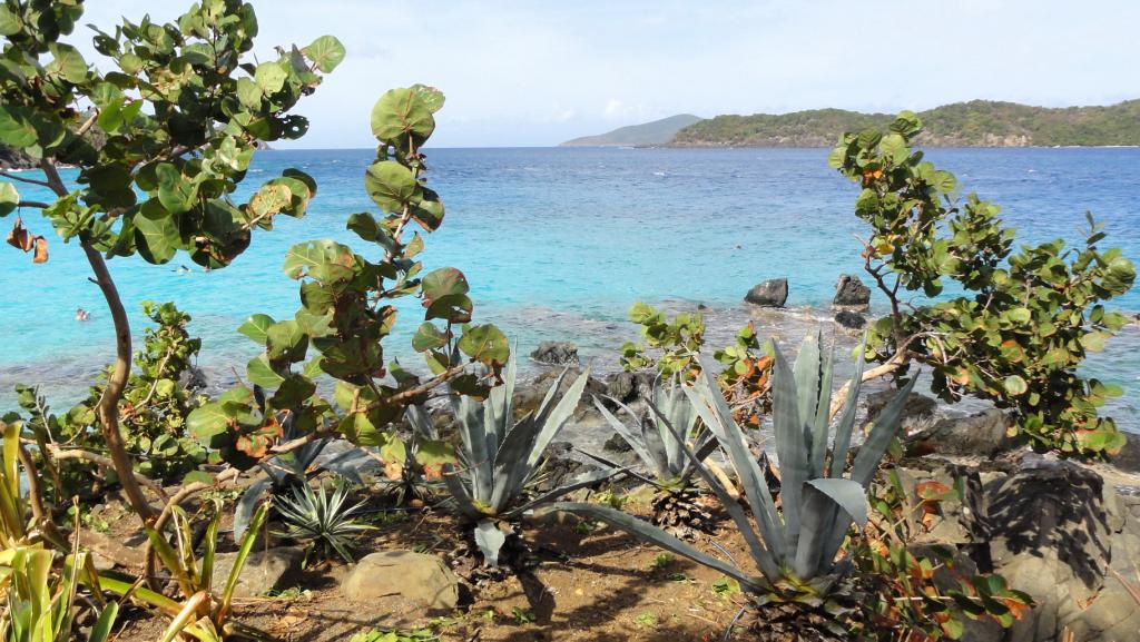 Foto de Charlotte Amalie, Islas Vírgenes, Británicas