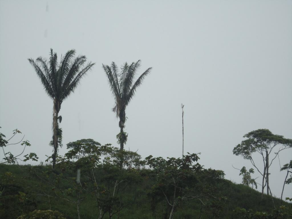 Foto de Simón Bolívar (Mushullacta), Ecuador