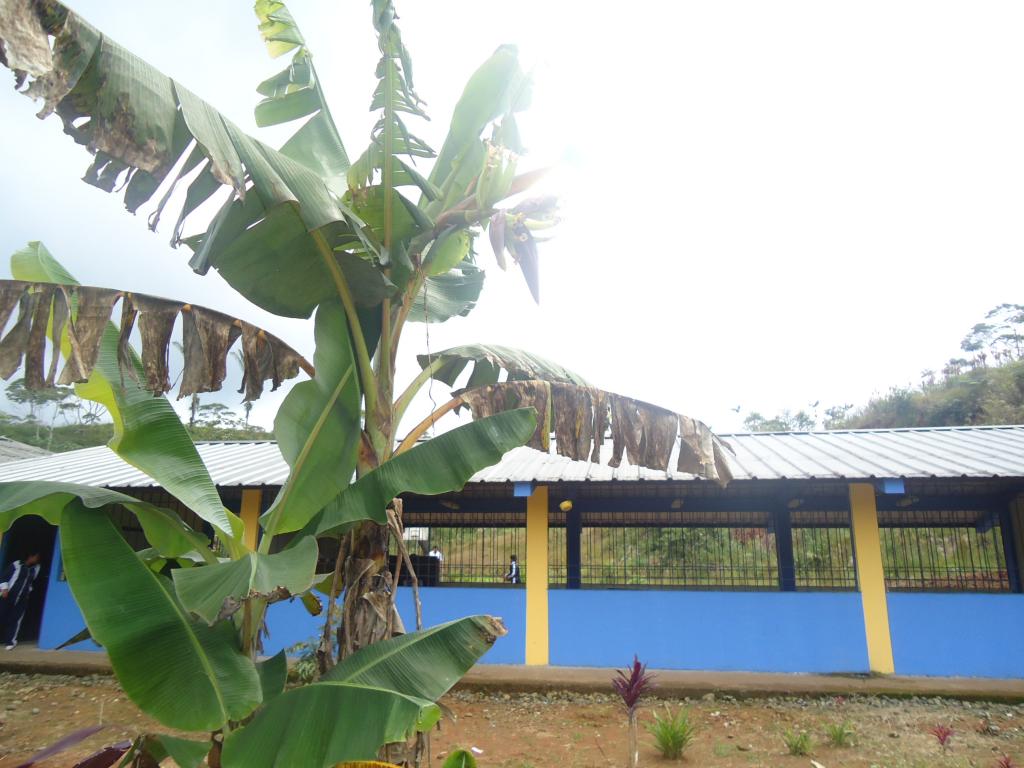 Foto de Simón Bolívar (Mushullacta), Ecuador