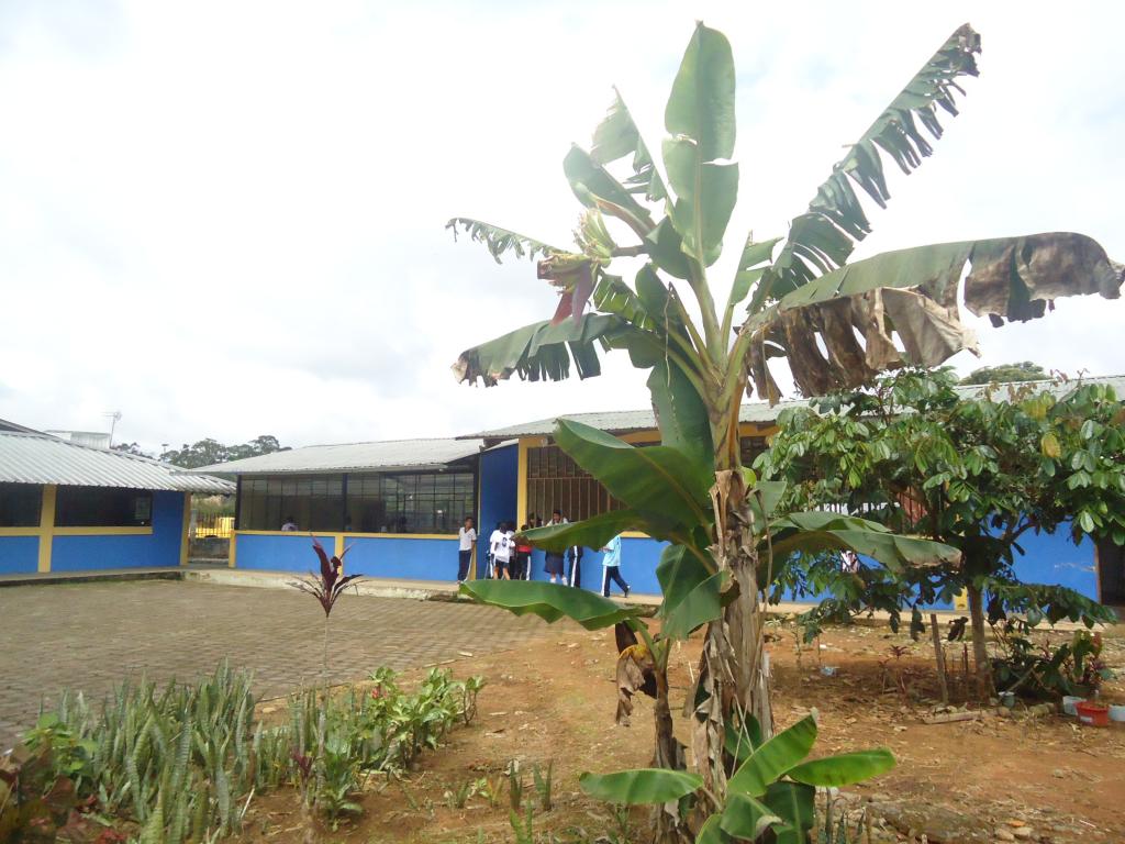 Foto de Simón Bolívar (Mushullacta), Ecuador