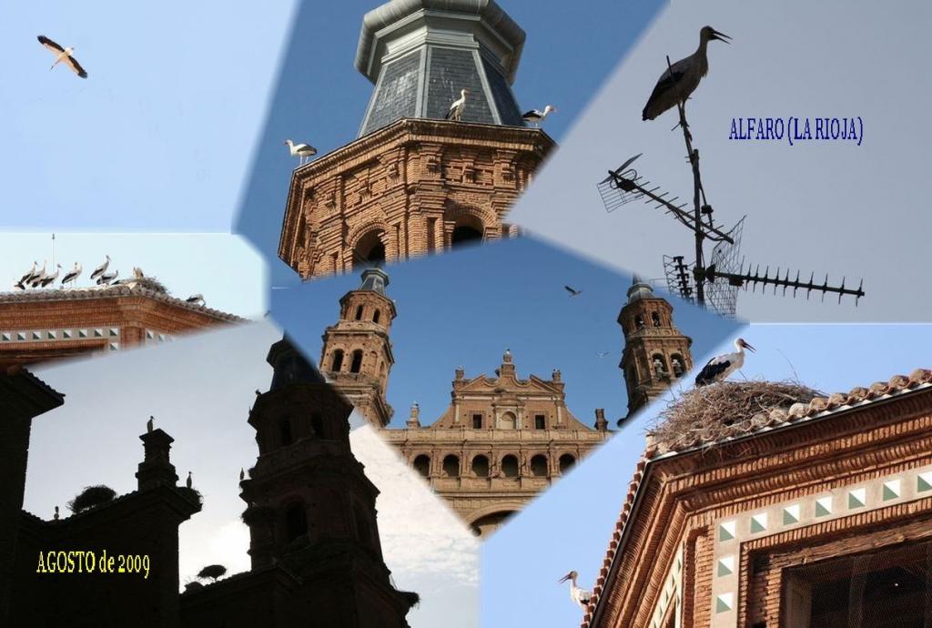 Foto de Alfaro (La Rioja), España