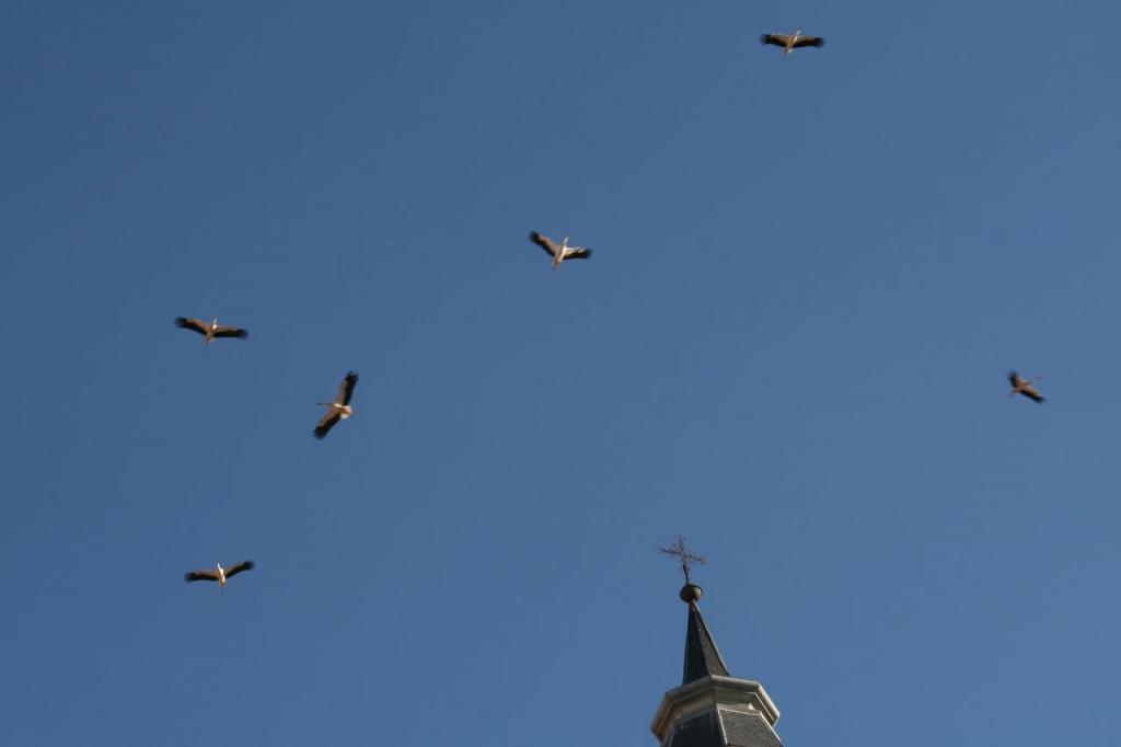 Foto de Alfaro (La Rioja), España