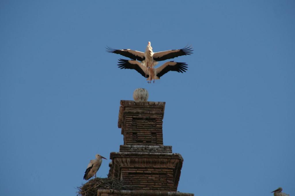 Foto de Alfaro (La Rioja), España