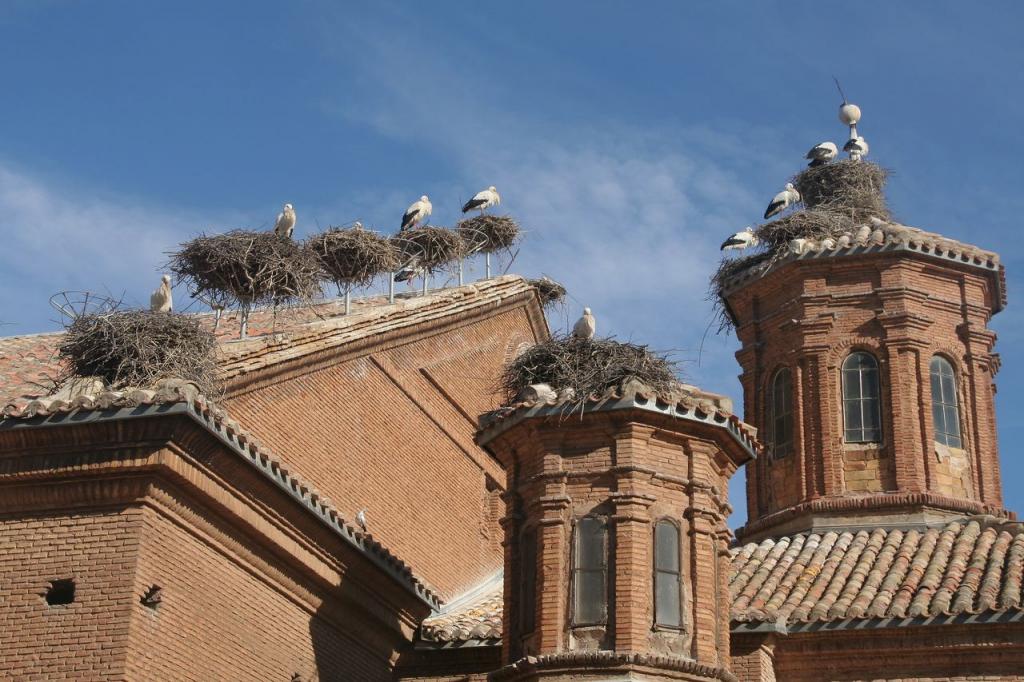 Foto de Alfaro (La Rioja), España