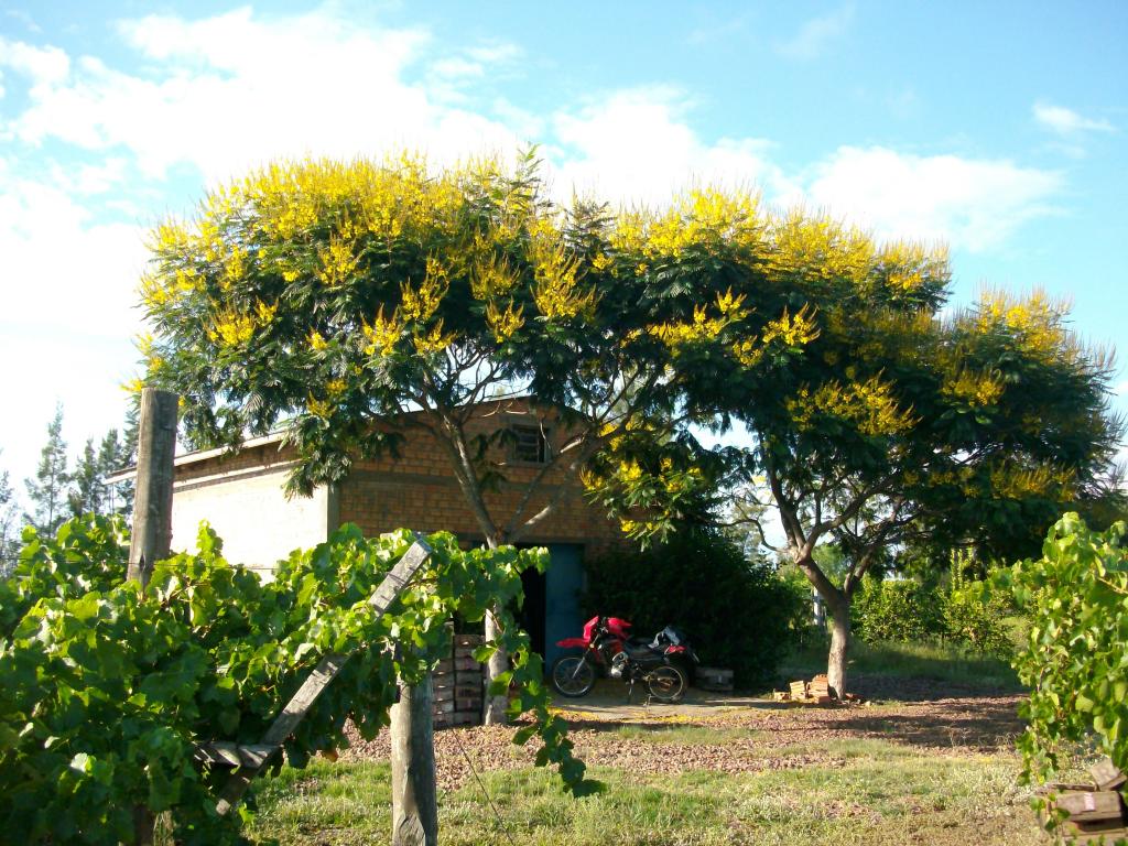 Foto de Bella Union, Uruguay