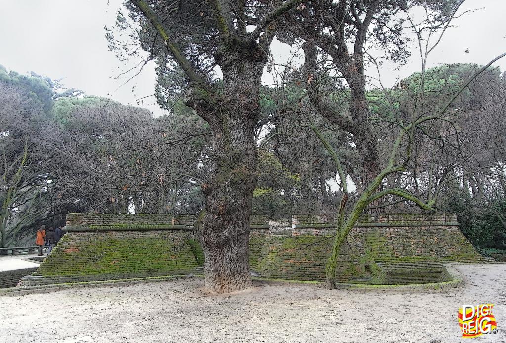 Foto de Madrid (Comunidad de Madrid), España