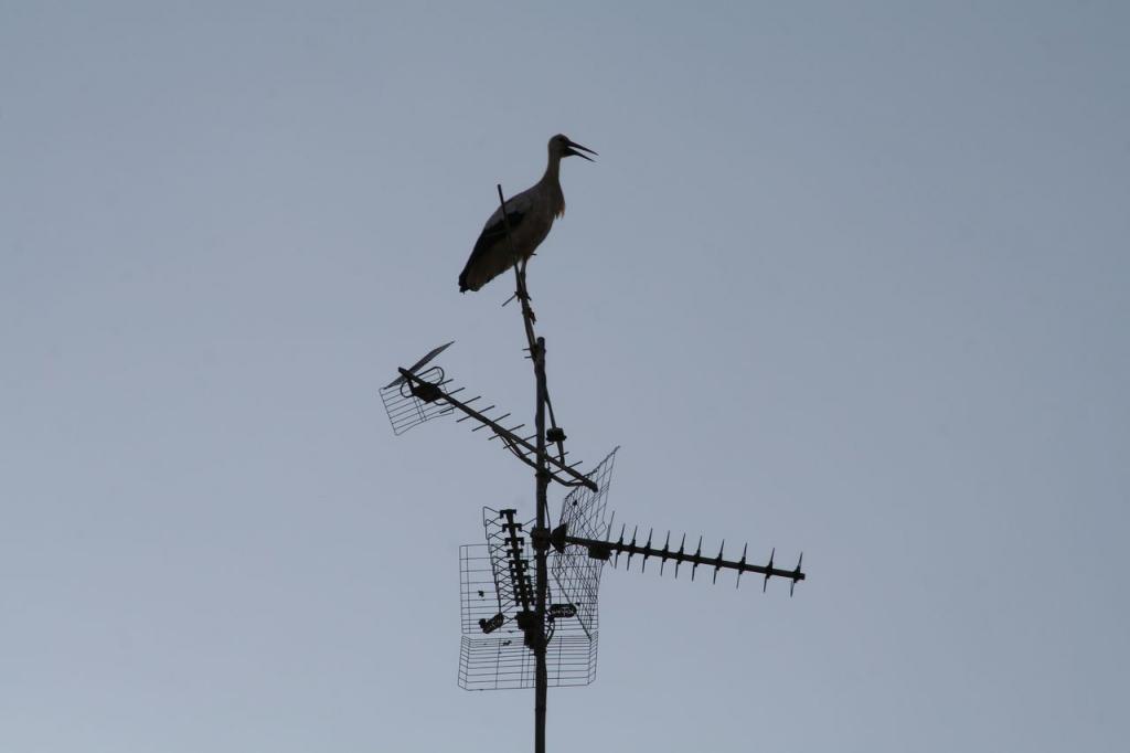 Foto de Alfaro (La Rioja), España