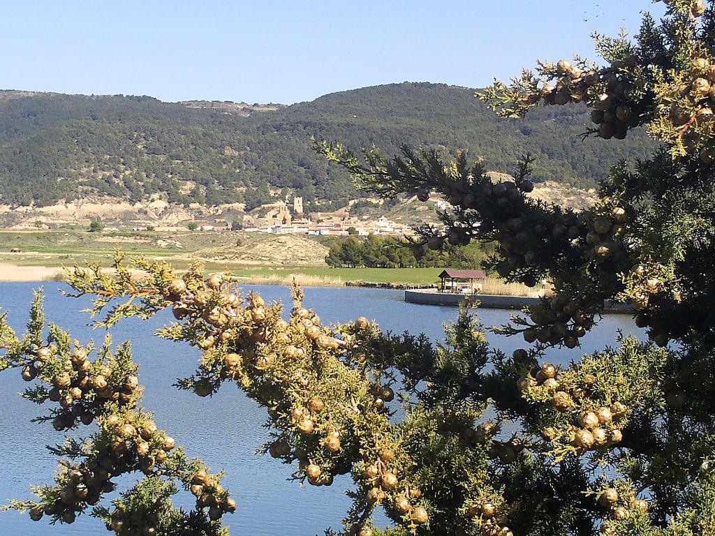 Foto de Castiliscar (Zaragoza), España