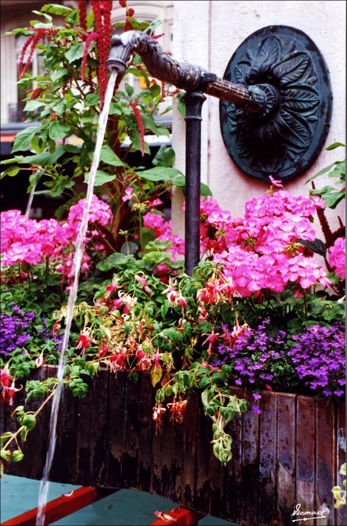Foto de Ginebra, Suiza