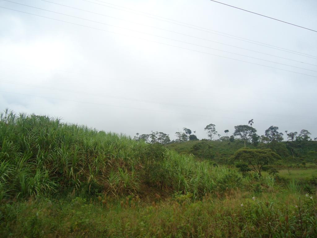 Foto de Puyo, Ecuador