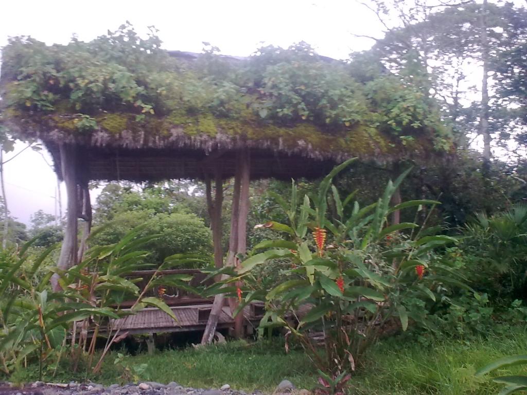 Foto de Puyo, Ecuador