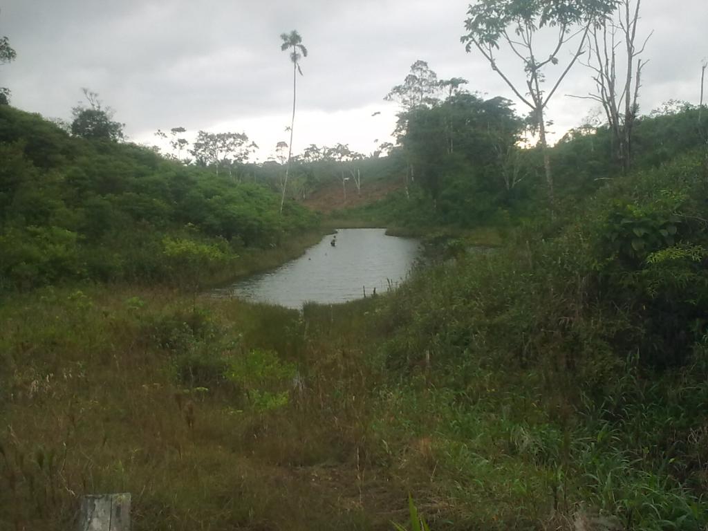 Foto de Puyo, Ecuador