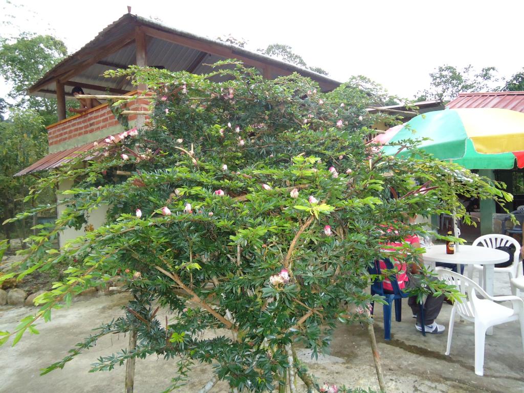 Foto de Mera, Ecuador