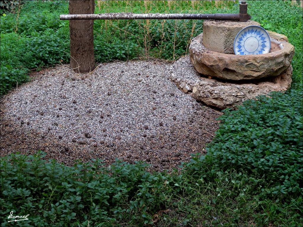 Foto de Muel (Zaragoza), España