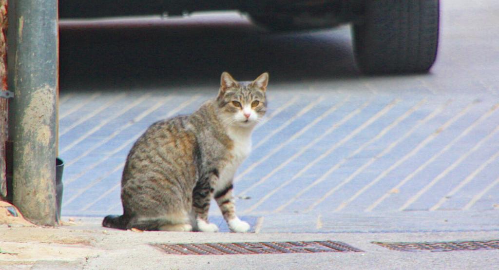 Foto de Peralada (Girona), España