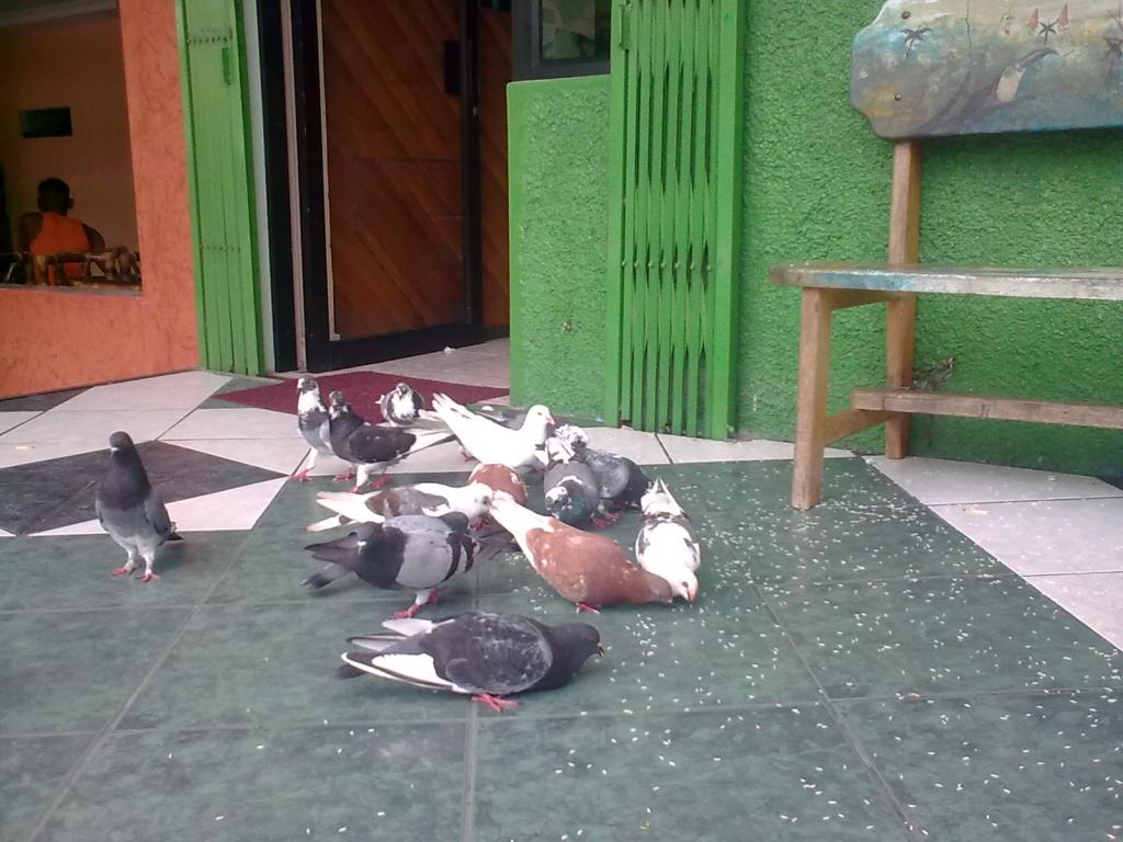 Foto de Puyo, Ecuador