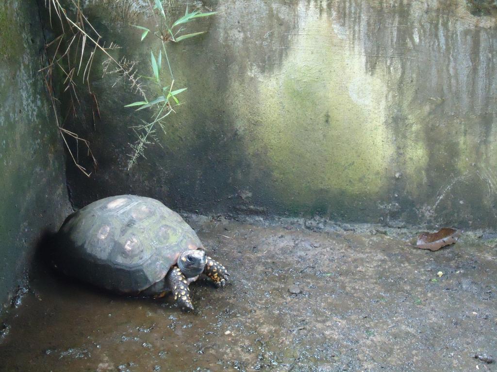 Foto de Te Zulay (Shell), Ecuador