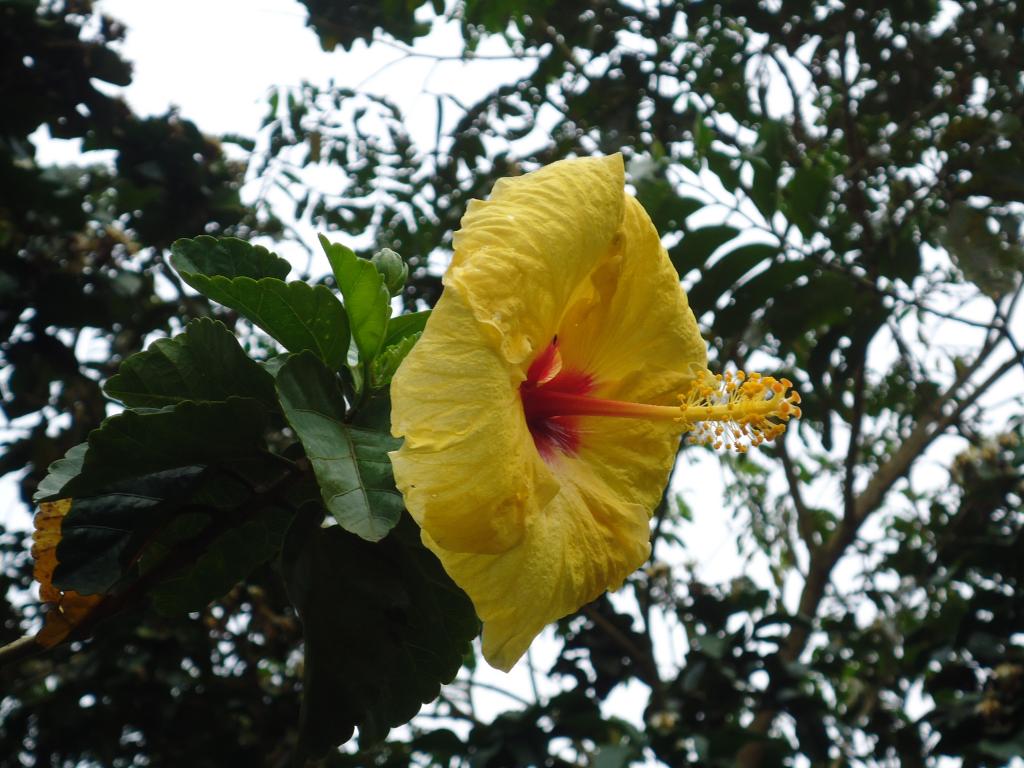 Foto de Te Zulay (Shell), Ecuador