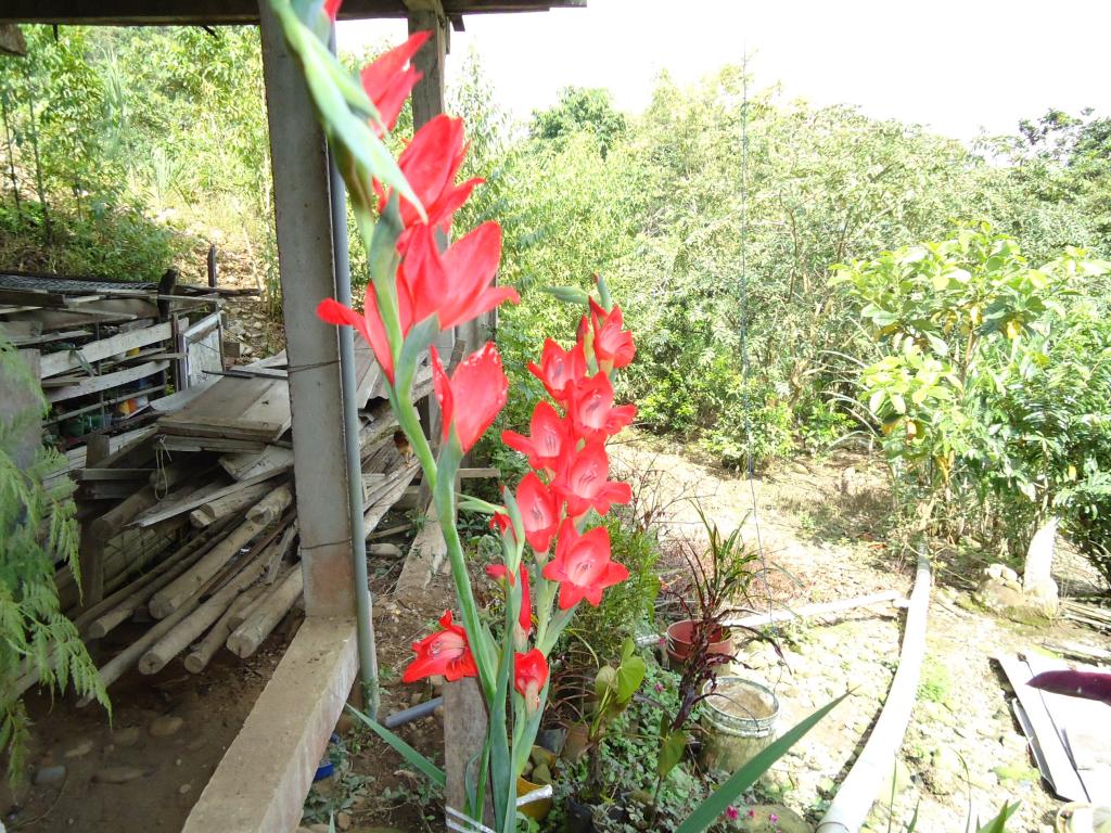 Foto de Te Zulay(Shell), Ecuador