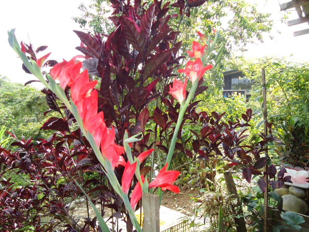 Foto de Te Zulay(Shell), Ecuador