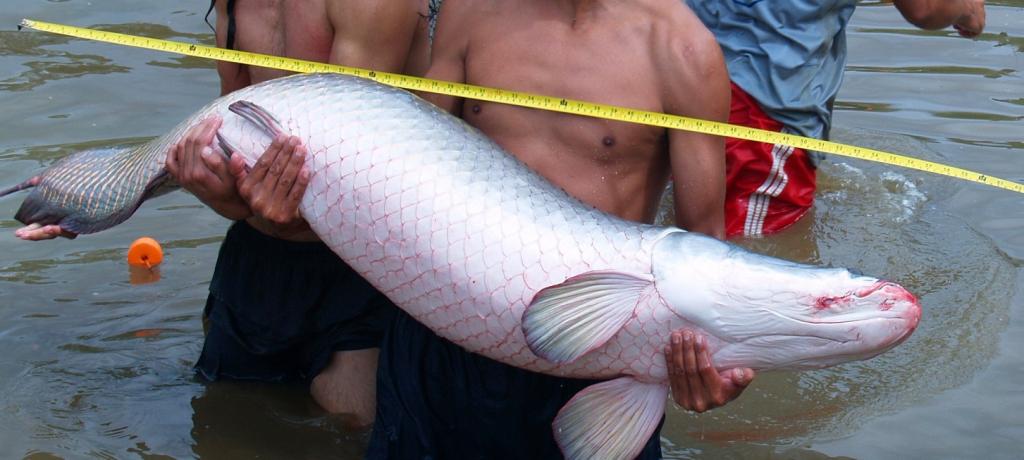 Foto de Te Zulay(Shell), Ecuador