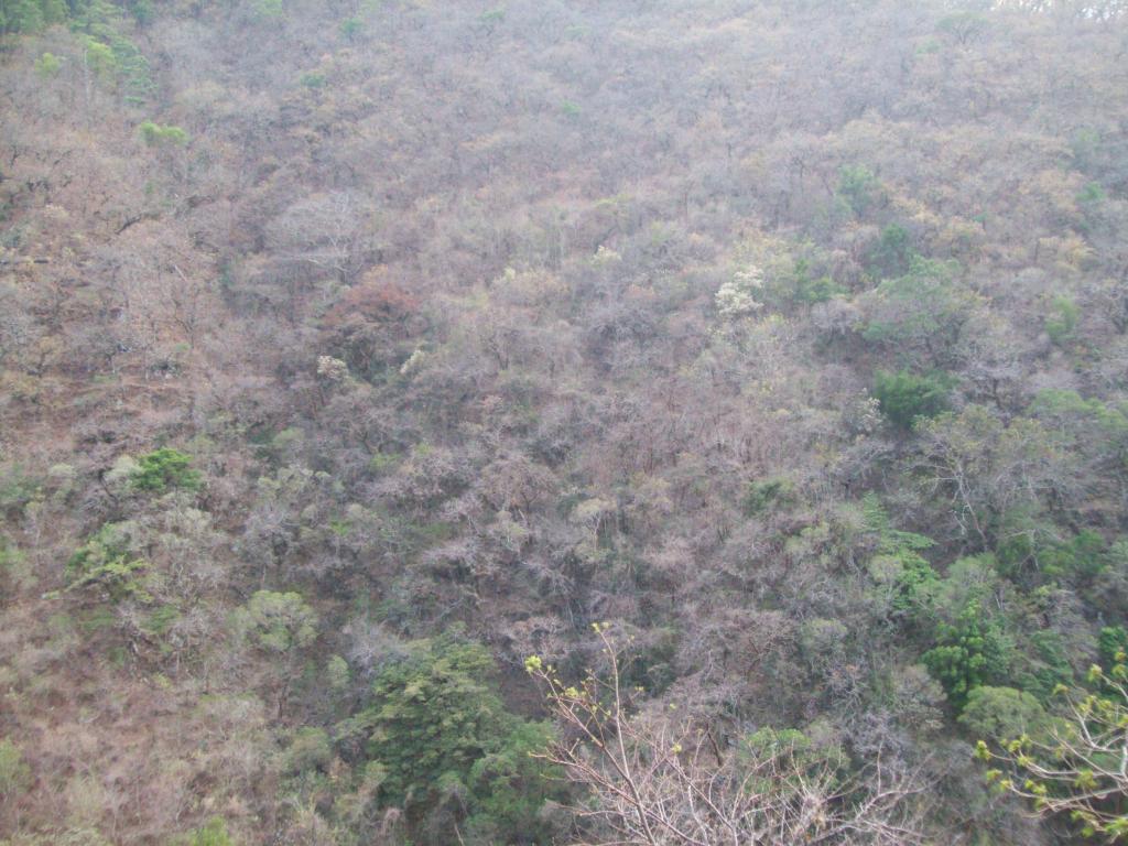 Foto de Motozintla (Chiapas), México
