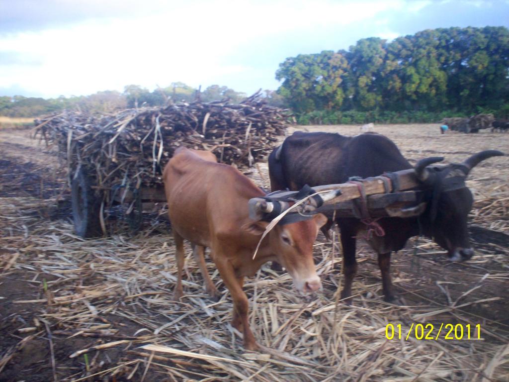 Foto de Rivas, Nicaragua