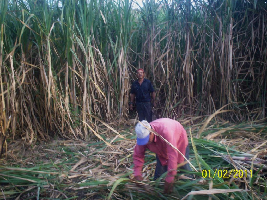 Foto de Rivas, Nicaragua