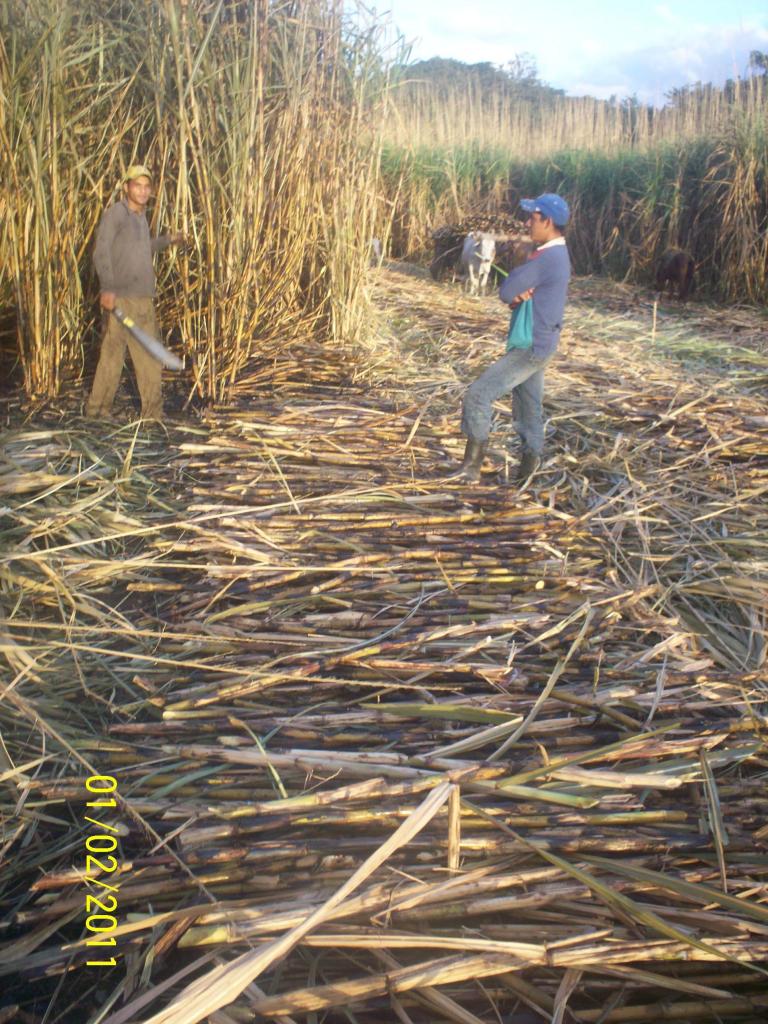Foto de Rivas, Nicaragua