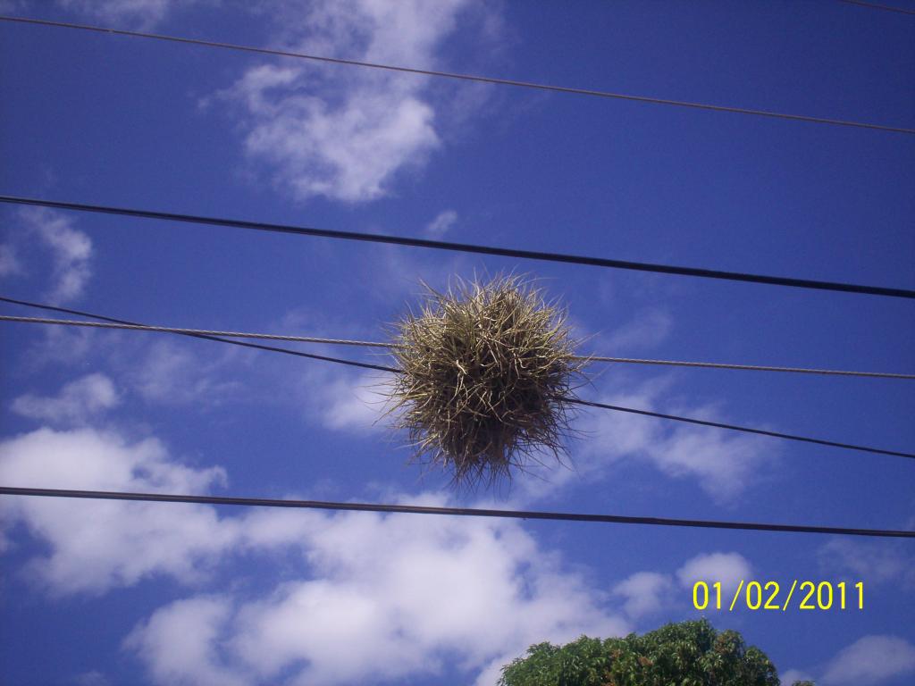 Foto de Rivas, Nicaragua