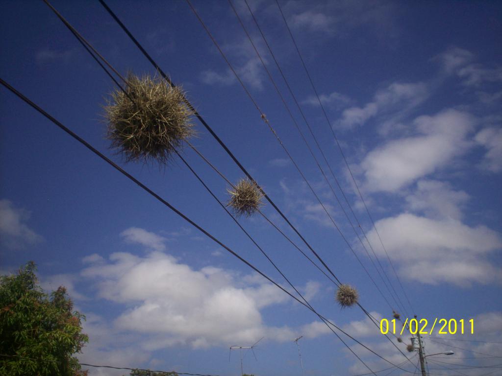 Foto de Rivas, Nicaragua