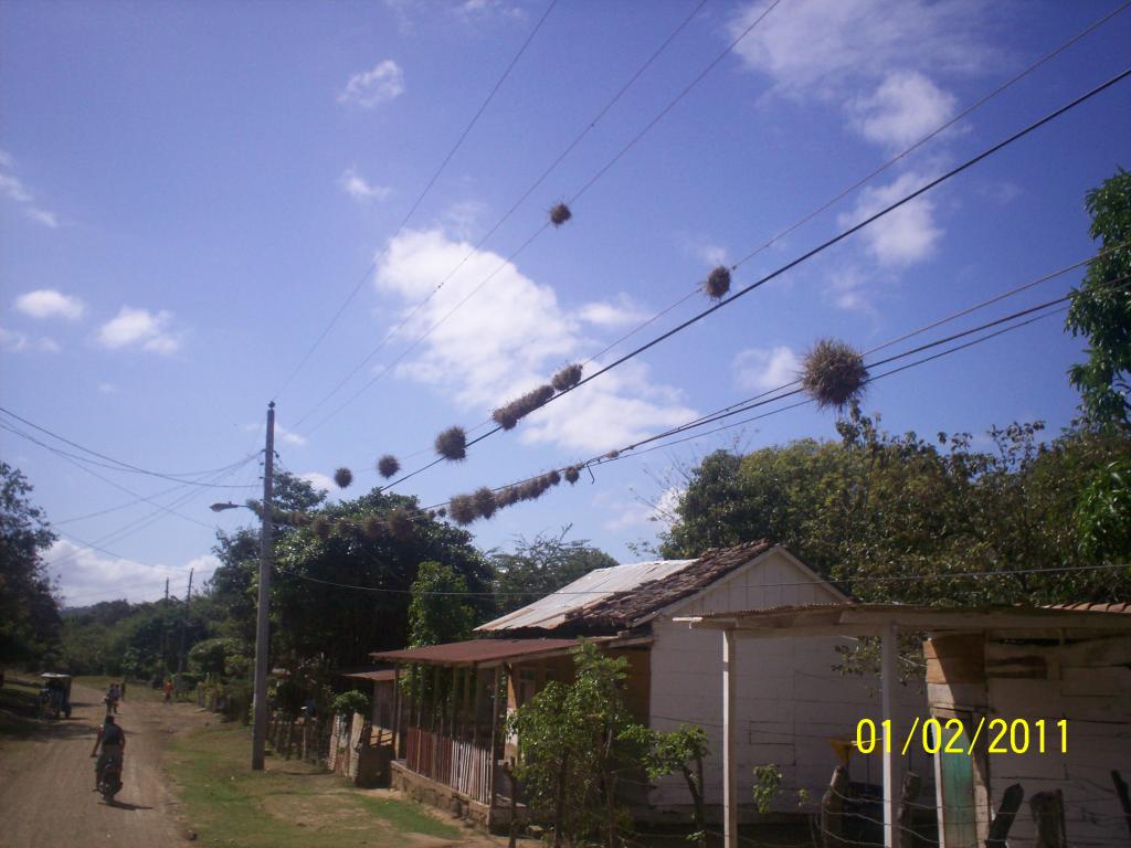 Foto de Rivas, Nicaragua