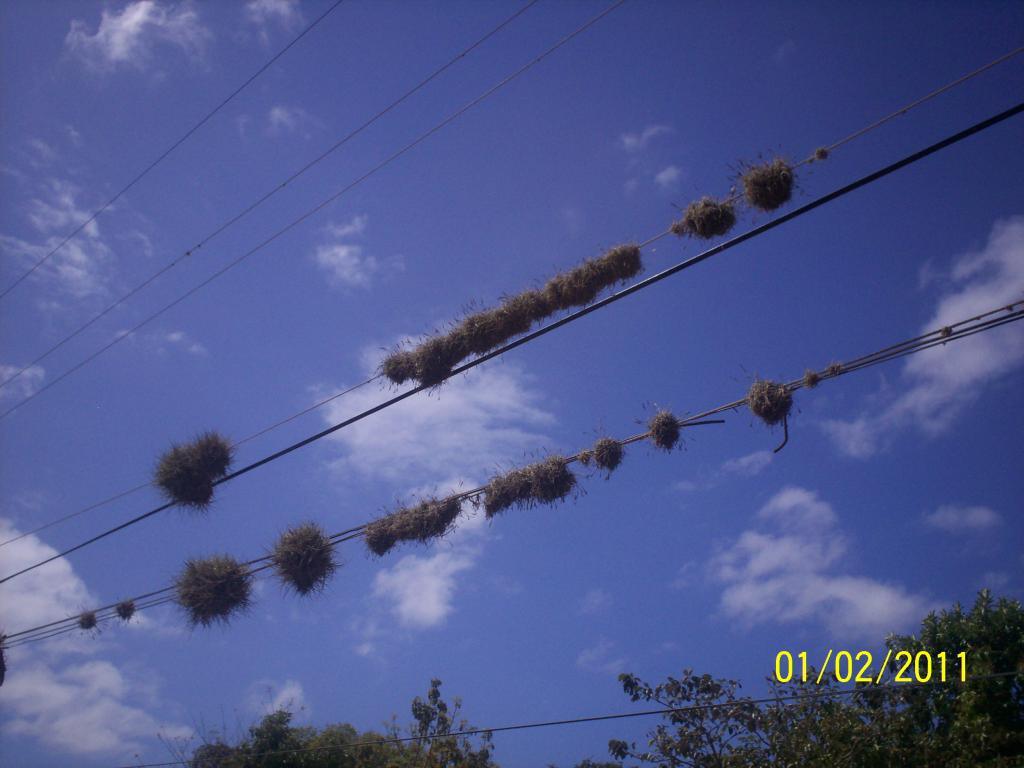 Foto de Rivas, Nicaragua