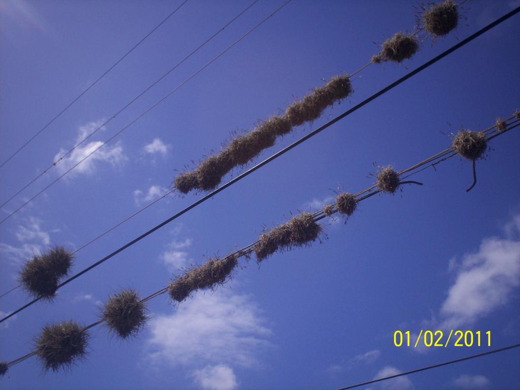 Foto de Rivas, Nicaragua