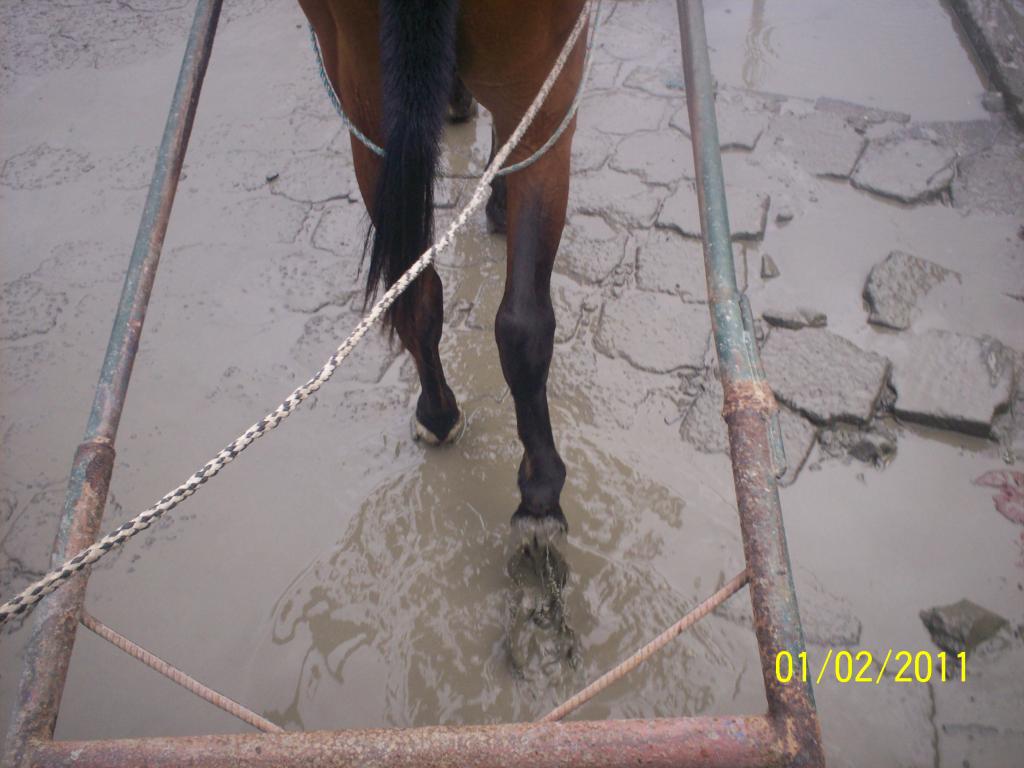 Foto de Rivas, Nicaragua