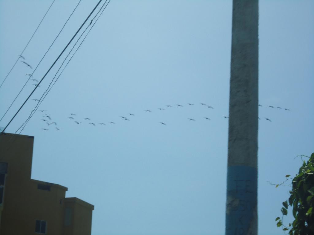 Foto de Pedernales, Ecuador