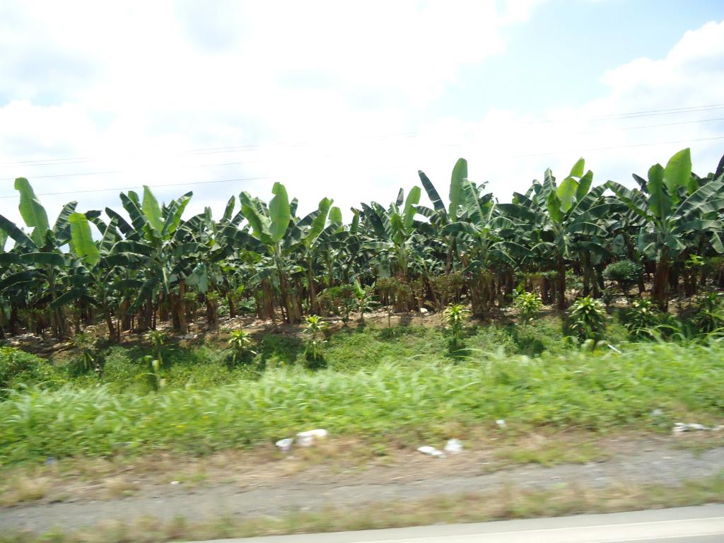 Foto de Guayas, Ecuador