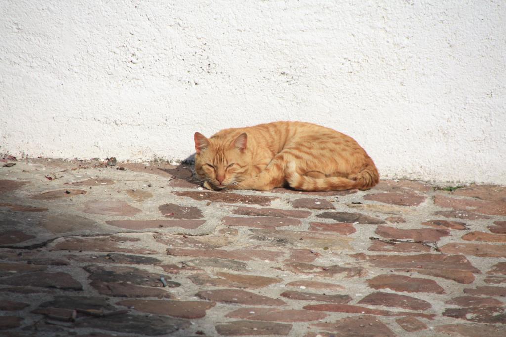 Foto de Aín (Castelló), España