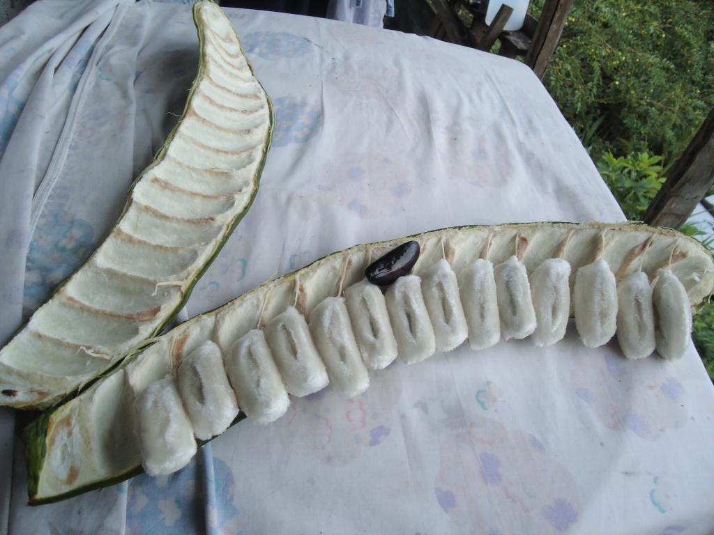 Foto de Shell, Ecuador