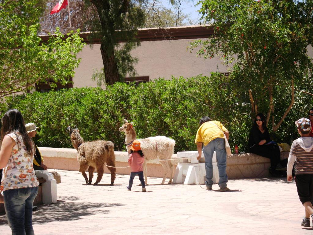 Foto de San Pedro de Atacama, Chile