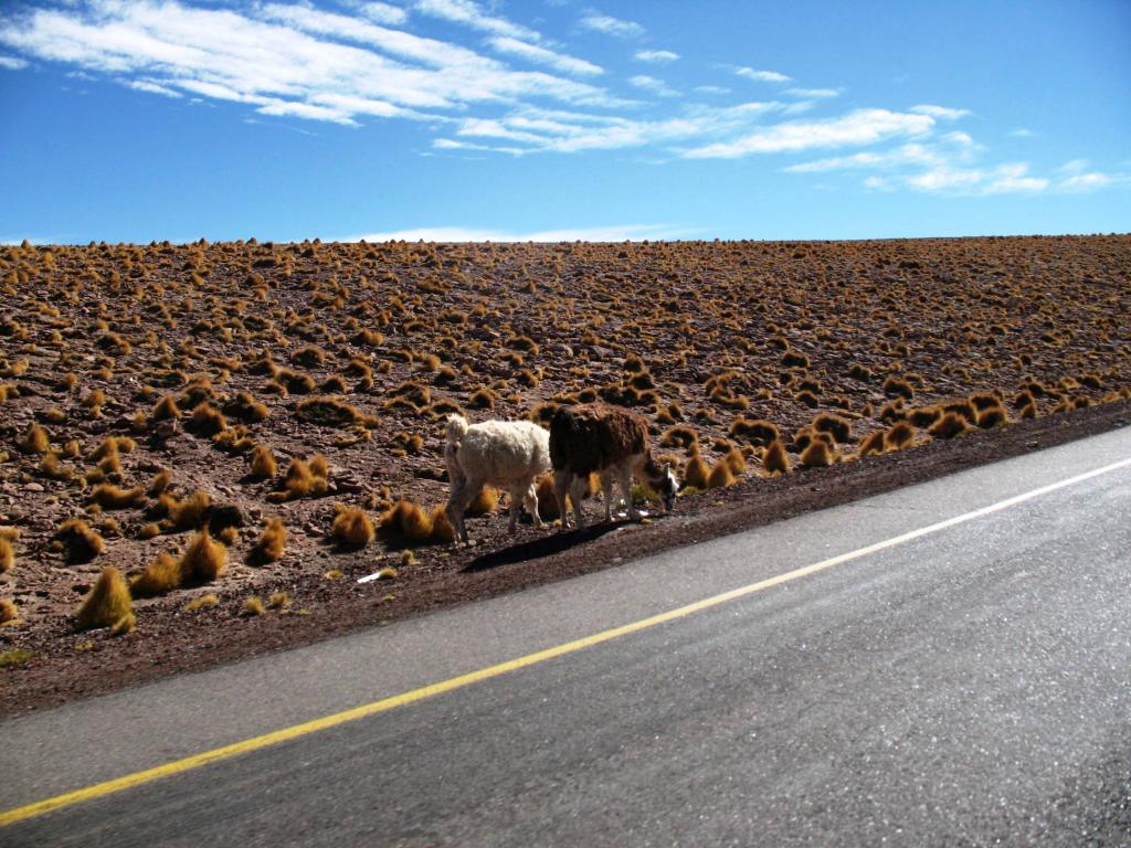 Foto de San Pedro de Atacama, Chile