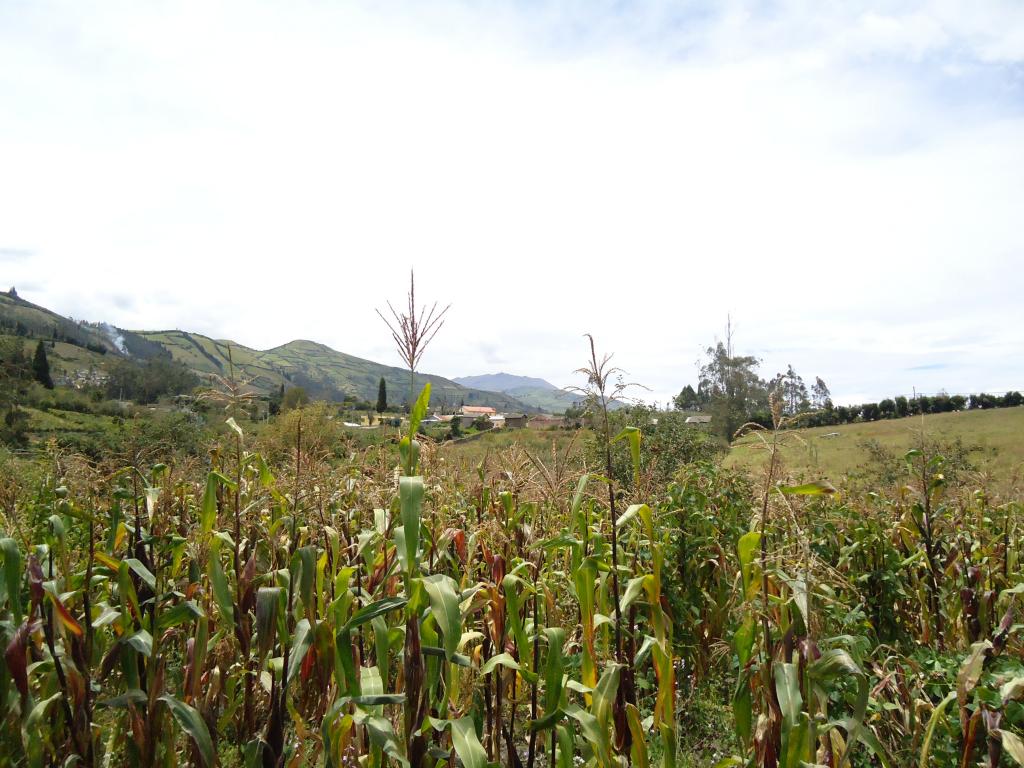 Foto de Bayushig, Ecuador