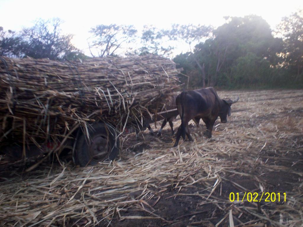 Foto de Rivas, Nicaragua