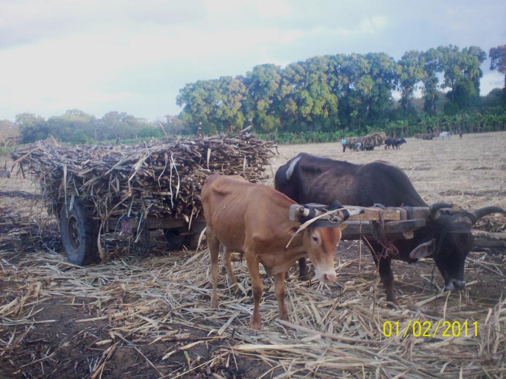 Foto de Rivas, Nicaragua
