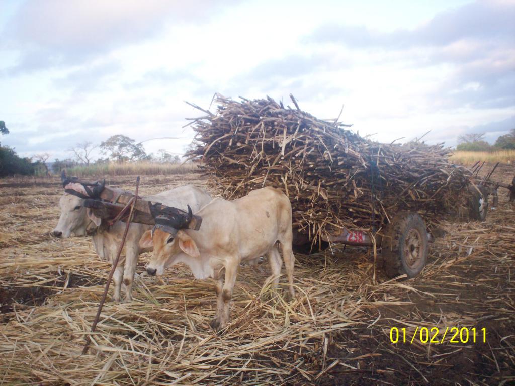 Foto de Rivas, Nicaragua