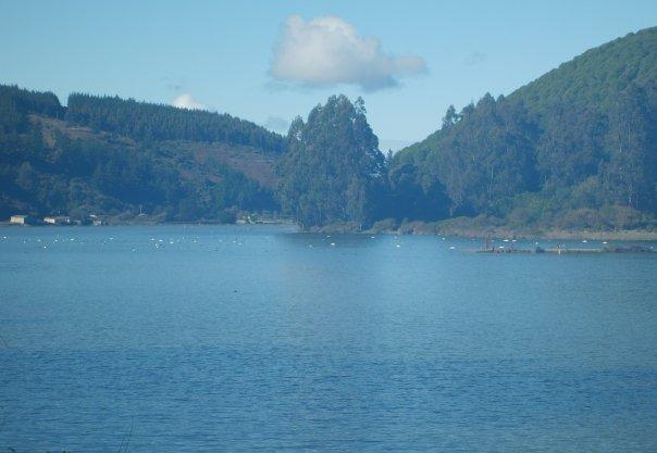 Foto: Laguna de Cahuil - Cahuil (Libertador General Bernardo OʼHiggins), Chile