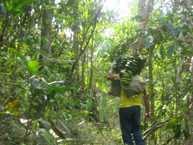 Foto: en el entable - El Limo (Loja), Ecuador