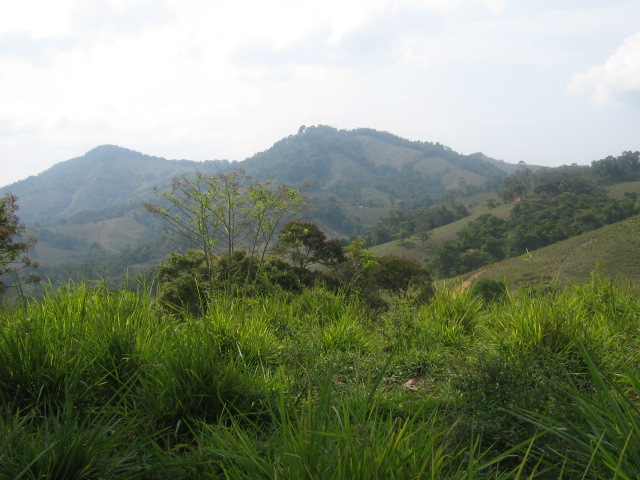 Foto: Finca Del Toronche - El Limo (Loja), Ecuador